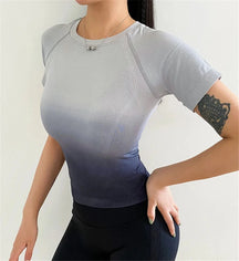 Fanny -  Seamless Gradient Crop Top